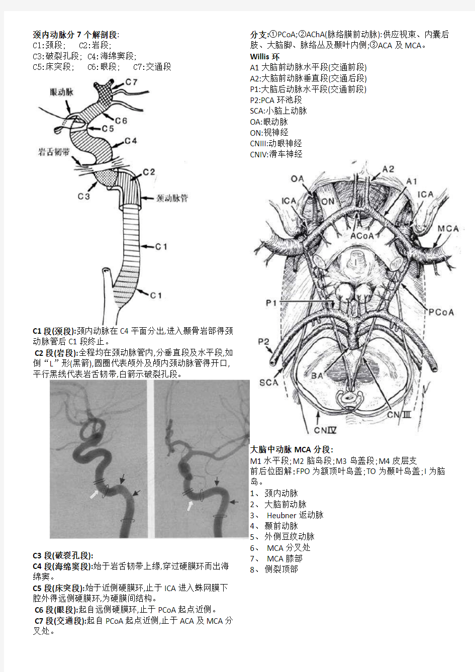 脑血管解剖及分段详解