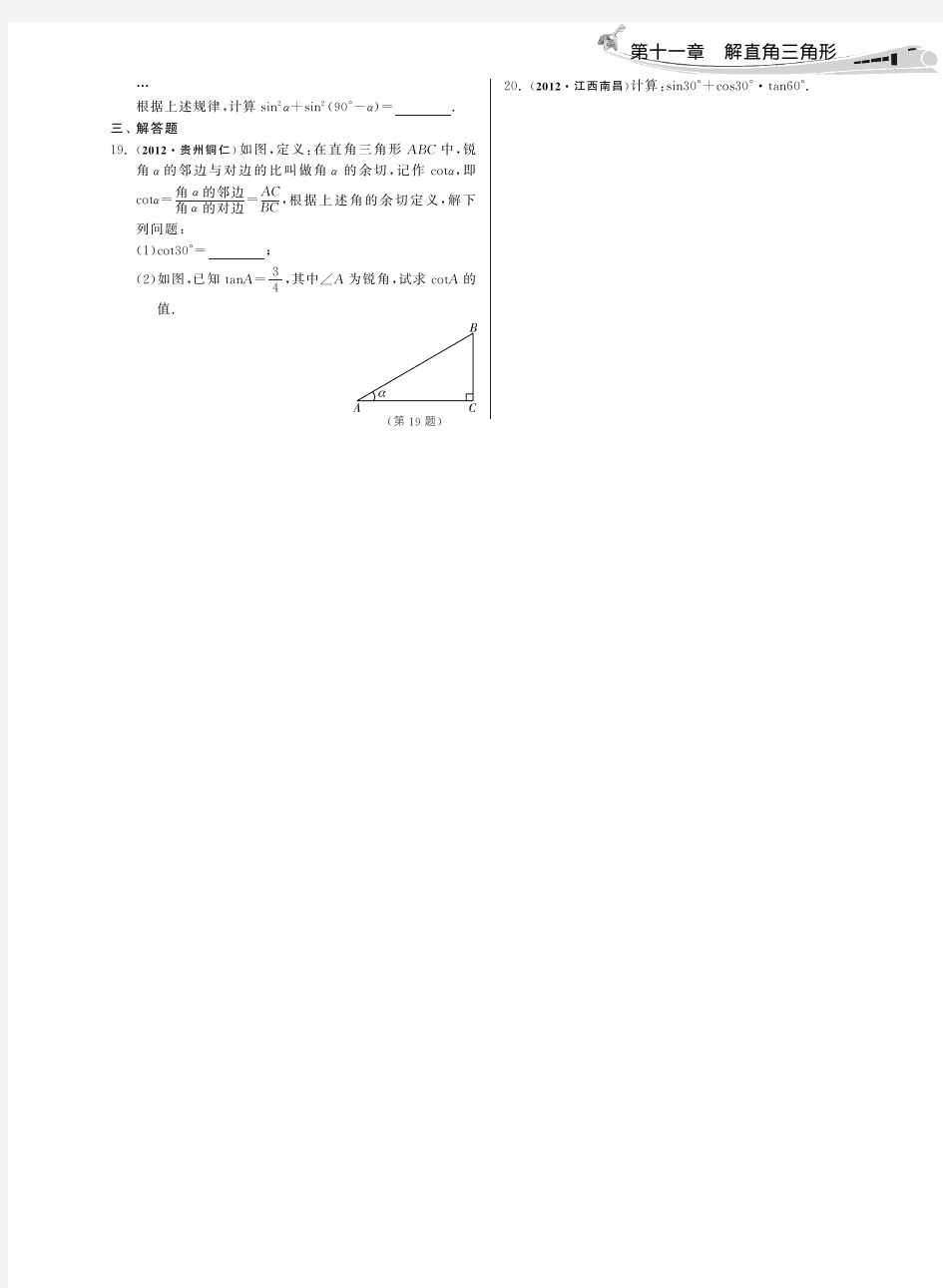 11.1锐角三角函数(分类精讲)·数学中考分类精粹