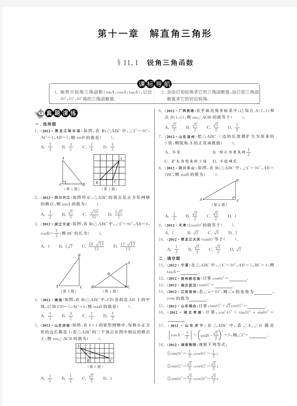 11.1锐角三角函数(分类精讲)·数学中考分类精粹