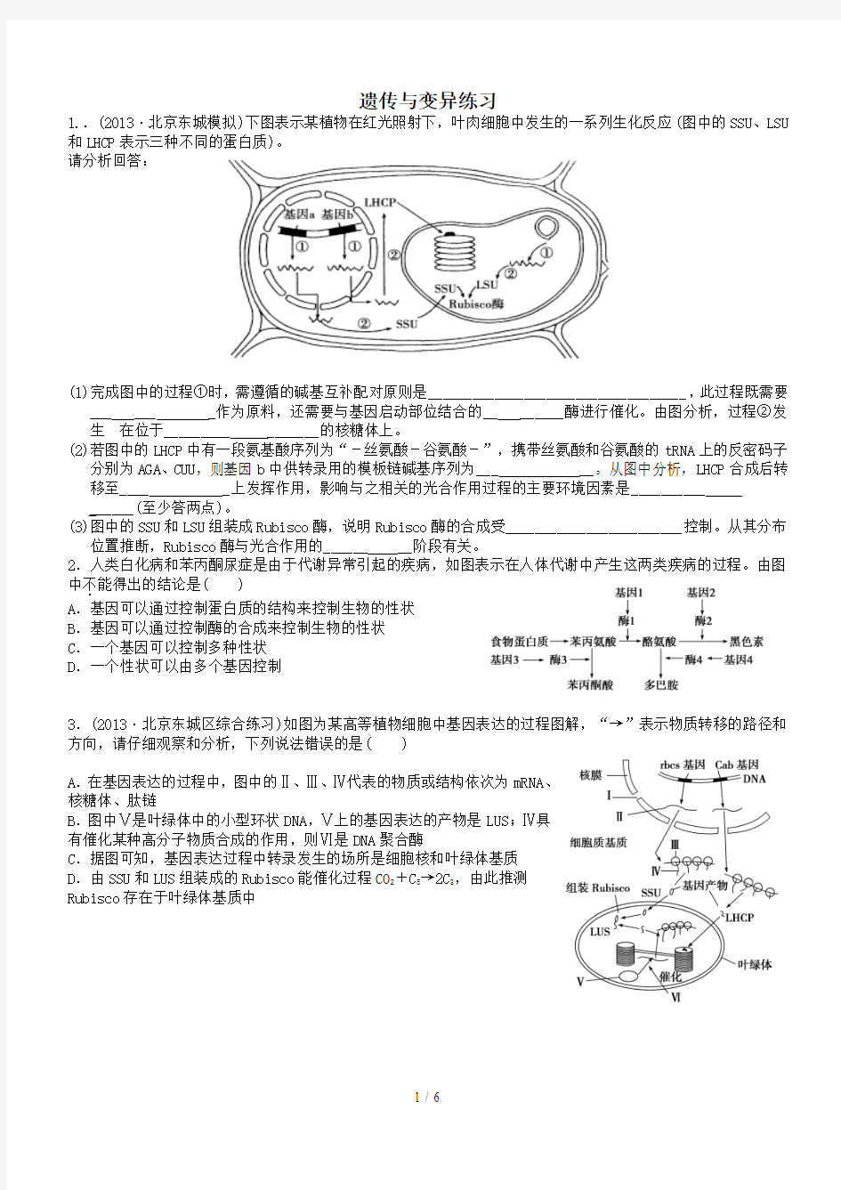 高中生物遗传与变异专题练习