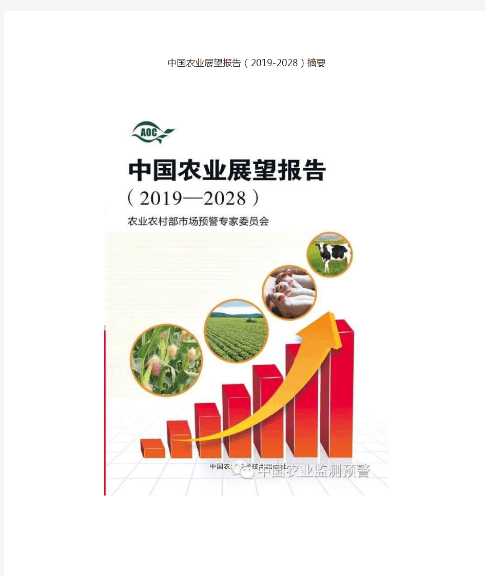 中国农业展望报告(2019-2028)摘要