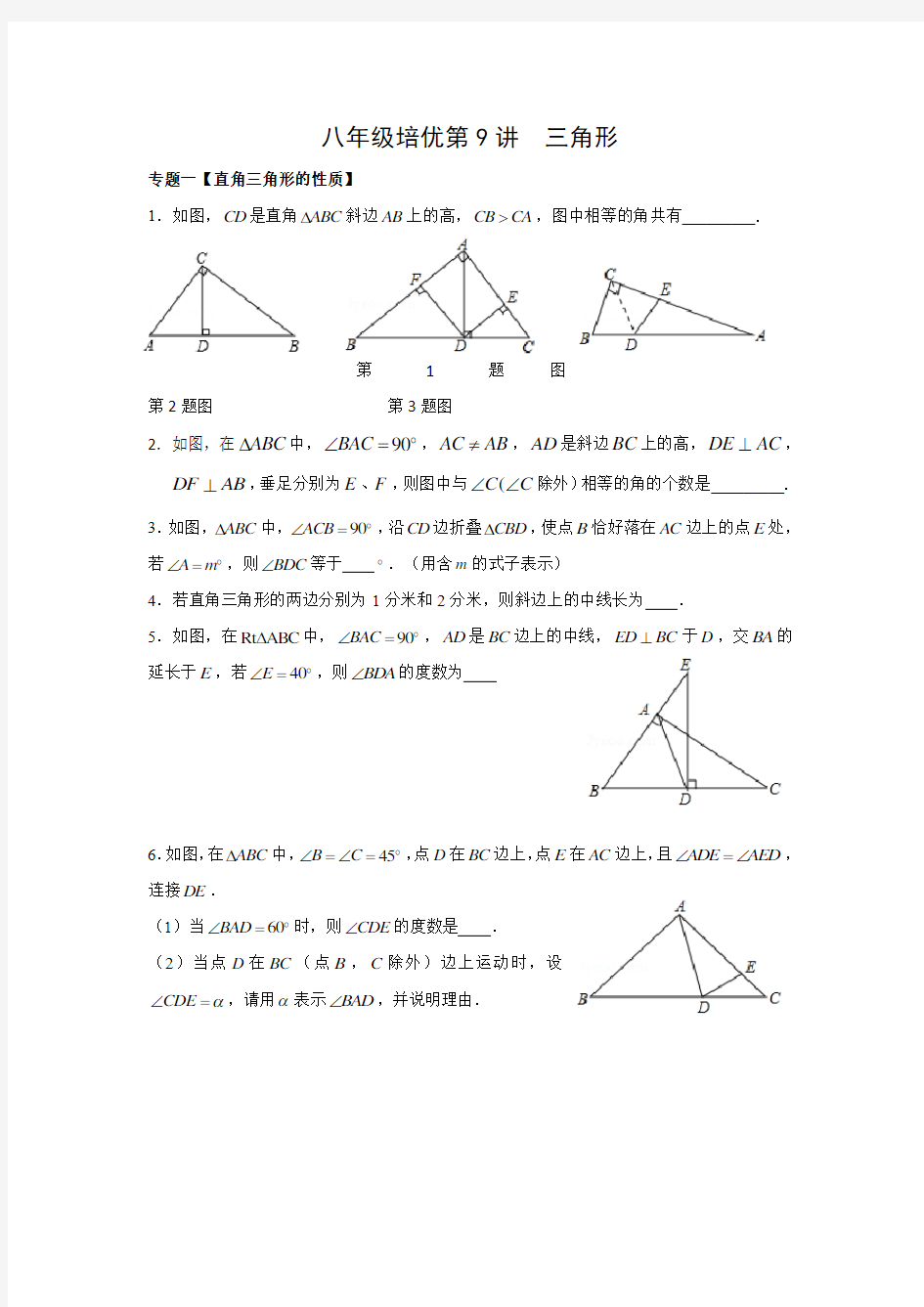 八年级上培优 直角三角形