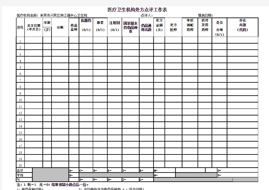 2013年处方点评表(范本)