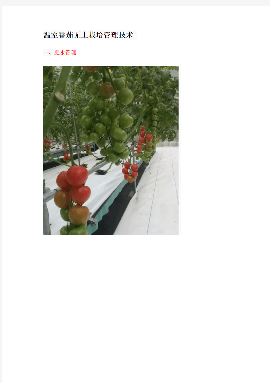 温室番茄无土栽培管理技术