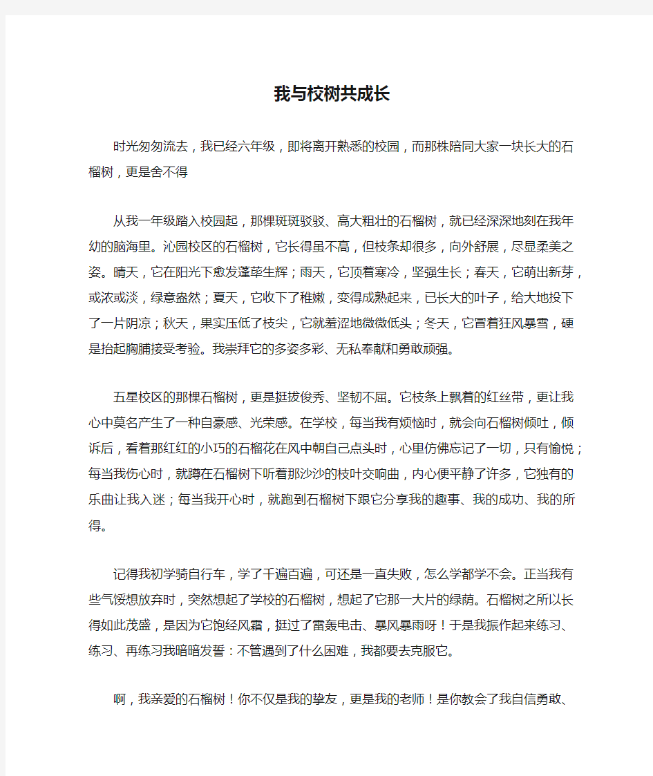 我与校树共成长