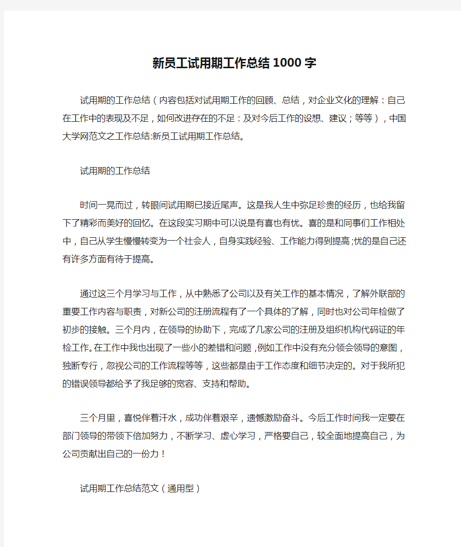 新员工试用期工作总结1000字