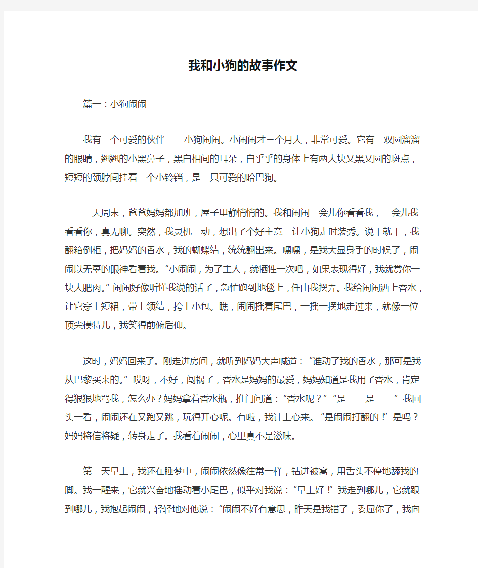 我和小狗的故事作文