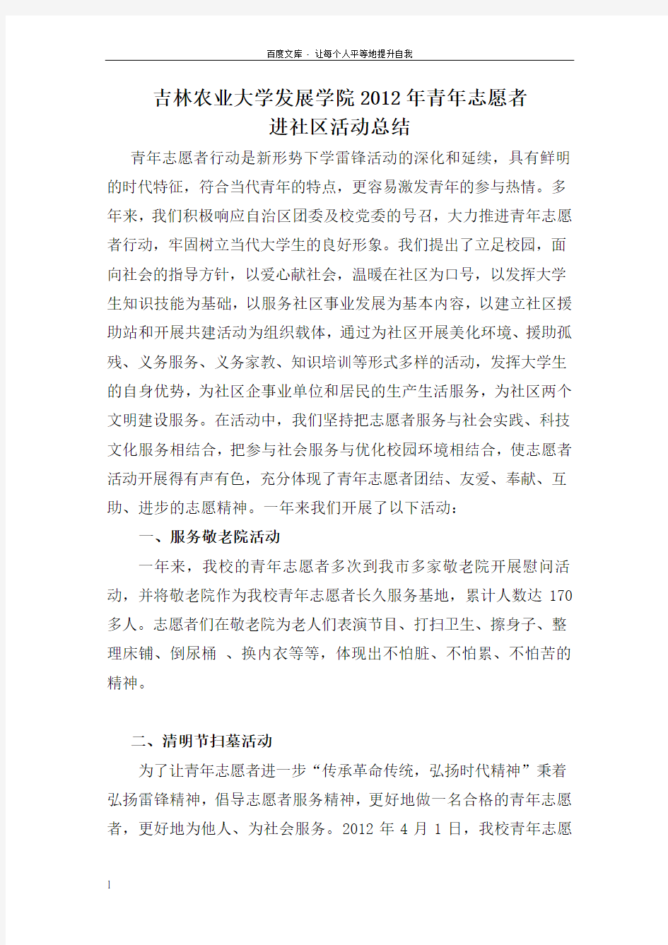 青年志愿者活动总结