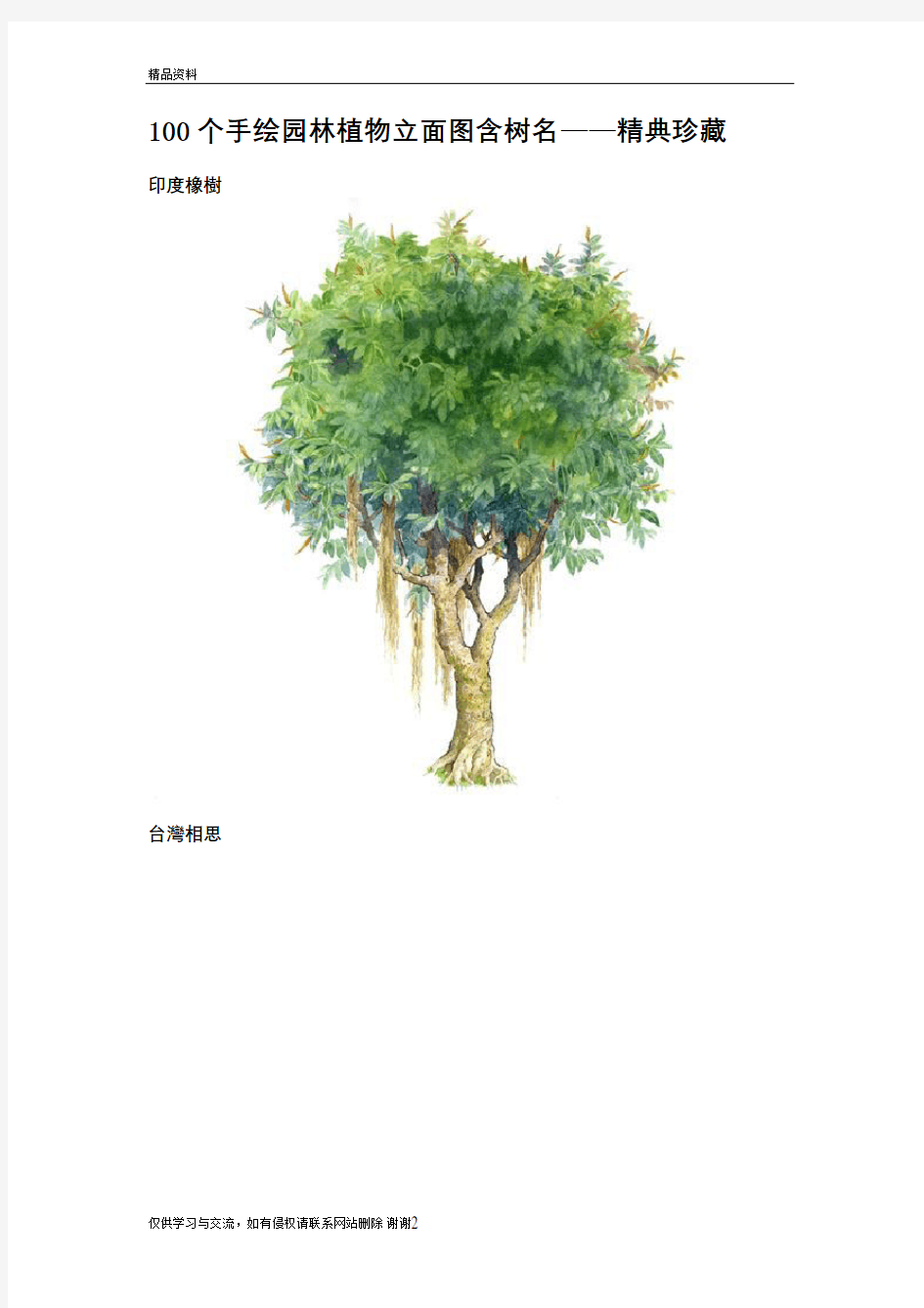 最新100个手绘园林植物立面图含树名
