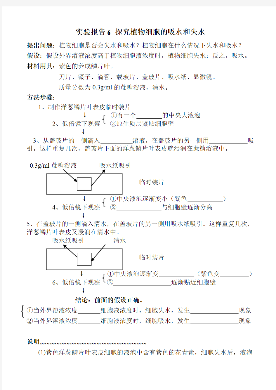 6实验报告：探究植物细胞的吸水和失水