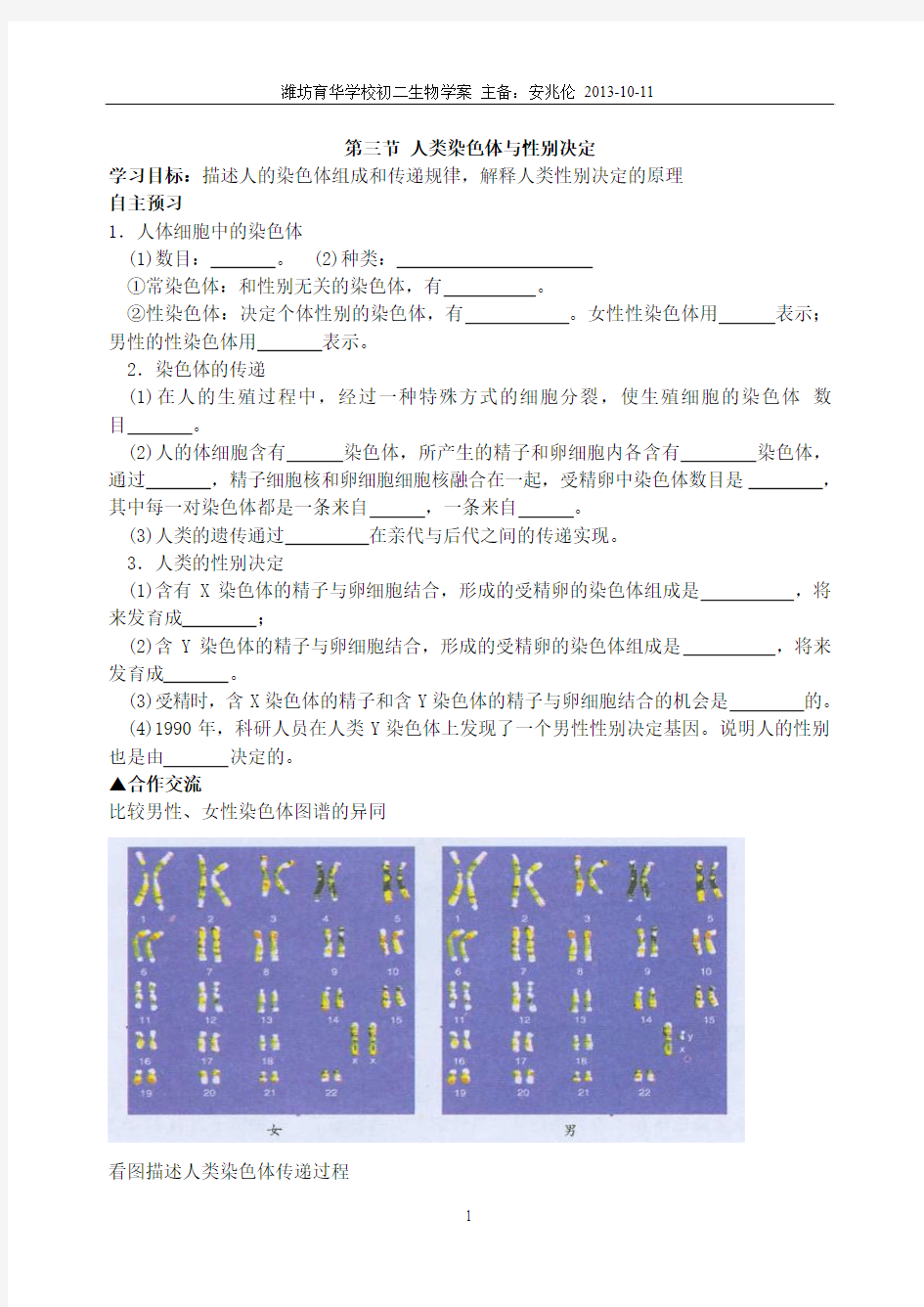 第三节 人类染色体与性别决定