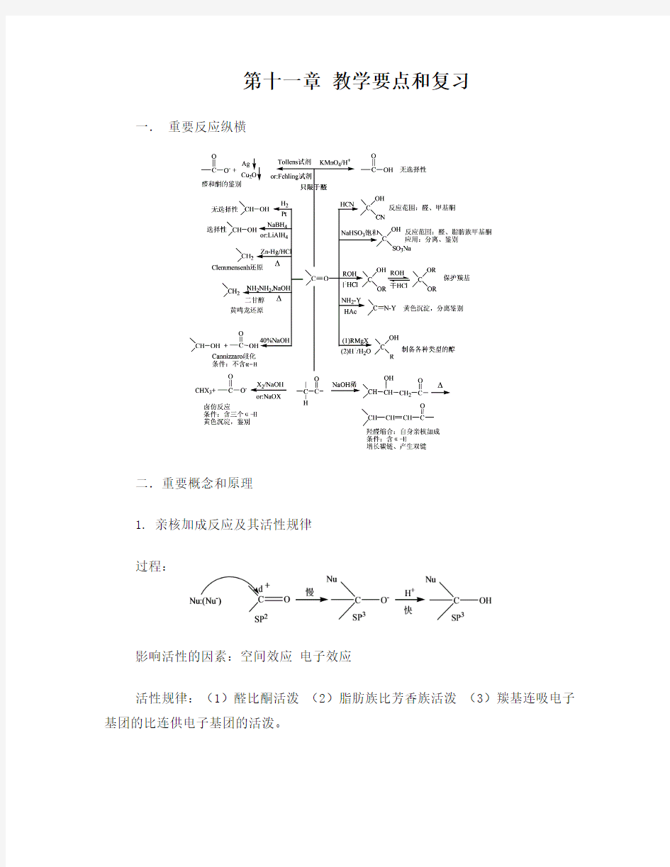 大学有机化学第五版天津大学版11第十一章教学要点和复习