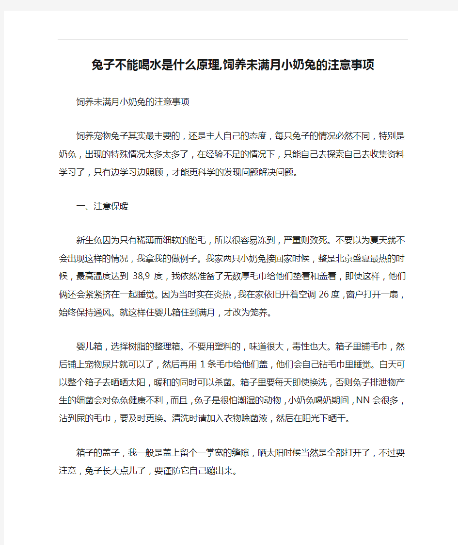 兔子不能喝水是什么原理,饲养未满月小奶兔的注意事项