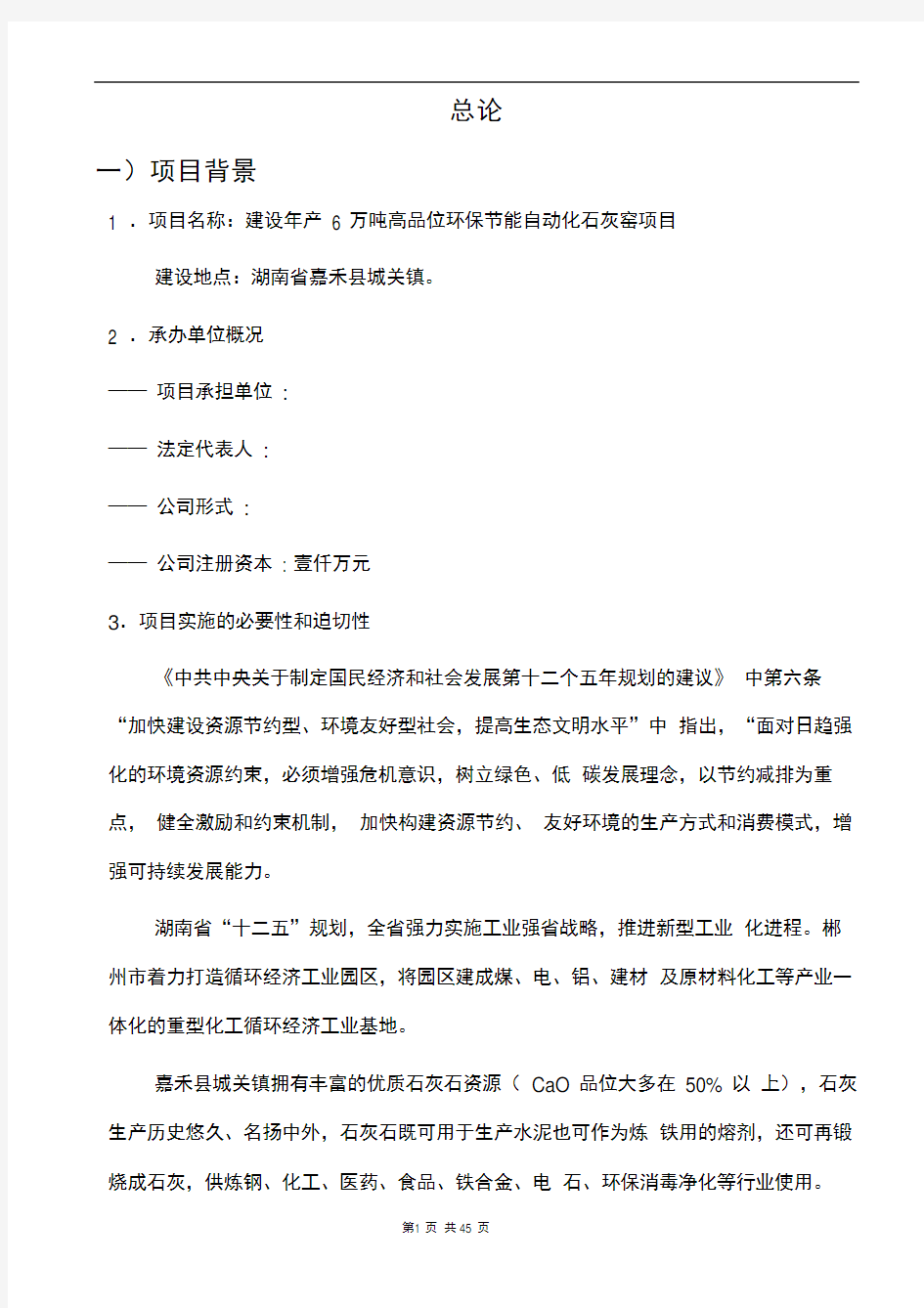 建设年产6万吨高品位环保节能自动化石灰窑项目可行性研究报告