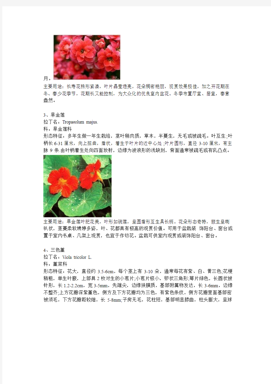 常见温室花卉50种.