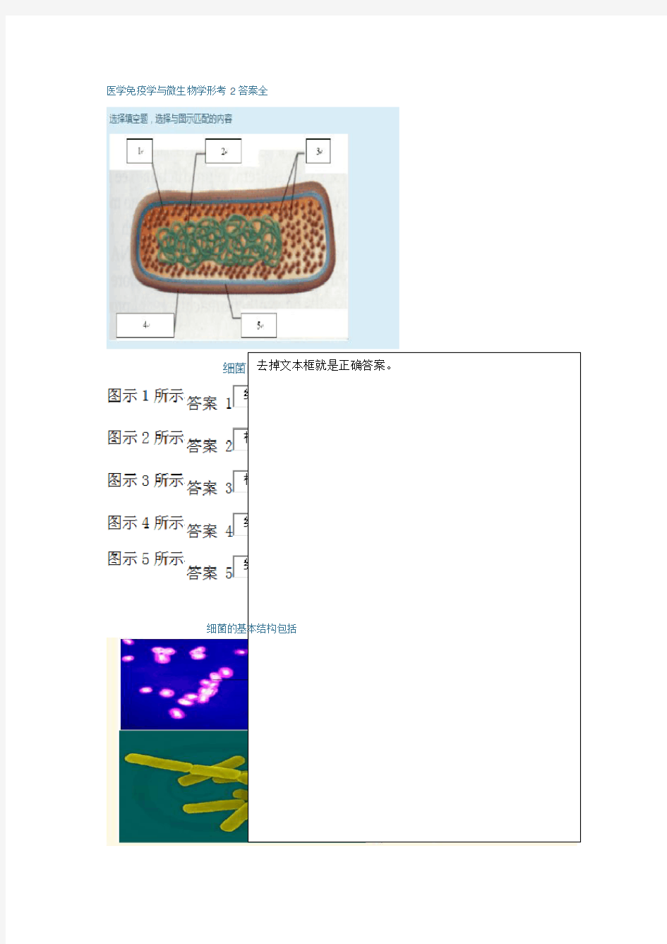 医学免疫学与微生物学形考2答案全