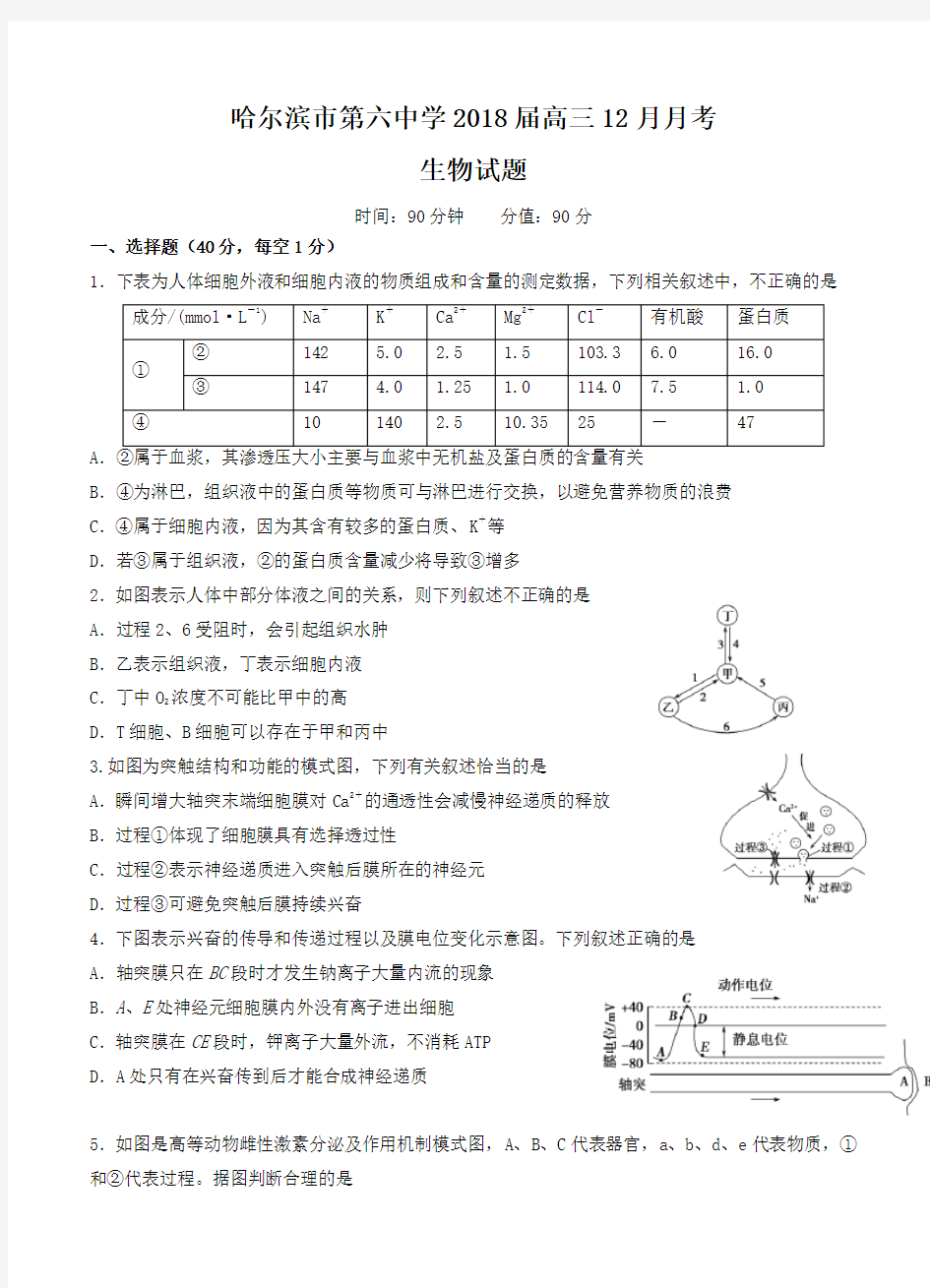 黑龙江省哈尔滨市第六中学2018届高三12月月考生物试卷(含答案)