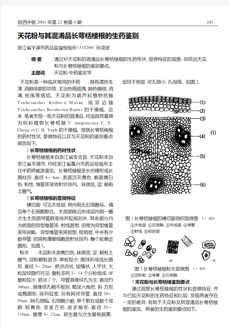 天花粉与其混淆品长萼栝楼根的生药鉴别