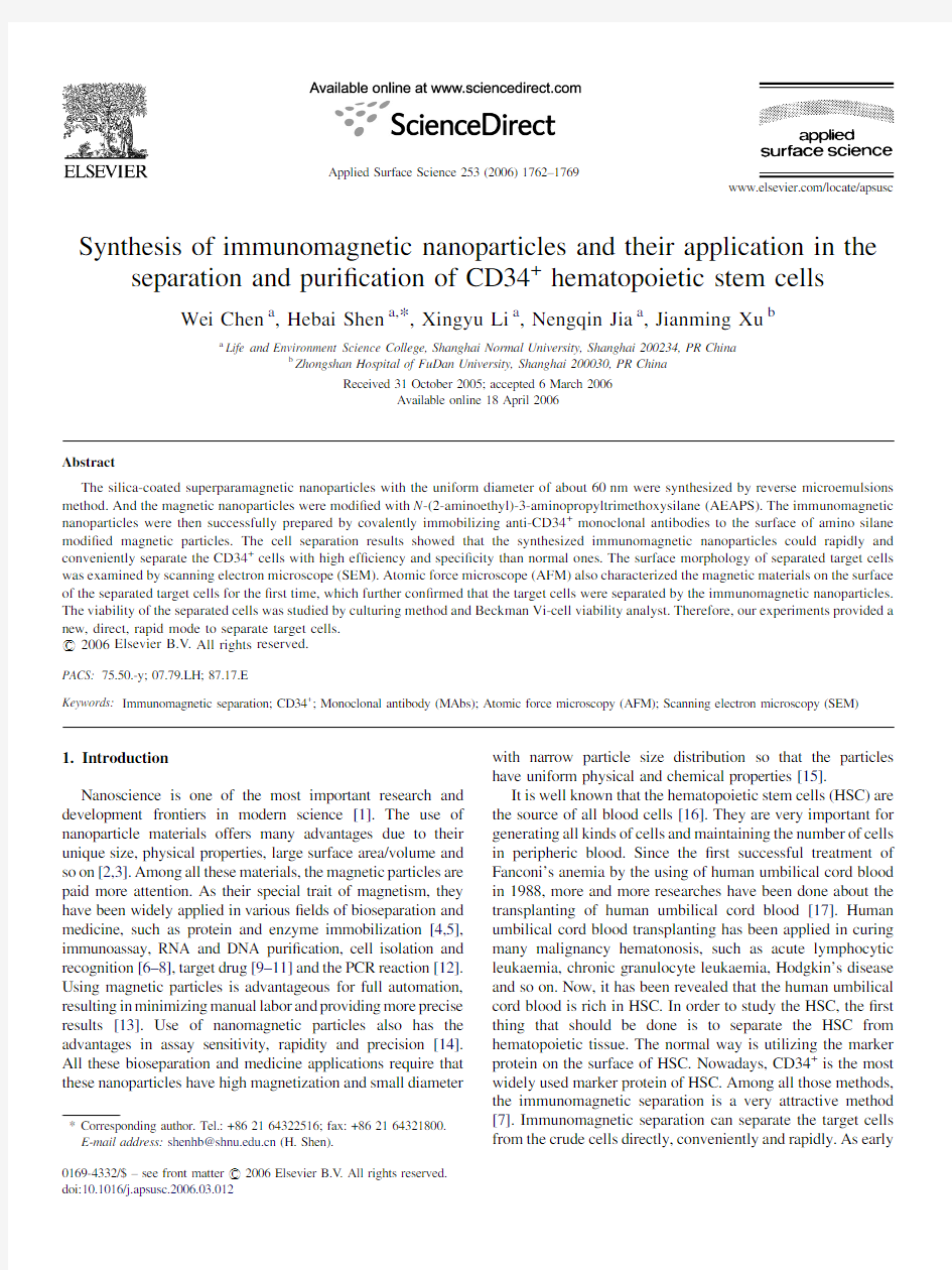 磁性纳米粒子在造血干细胞分离纯化中的应用