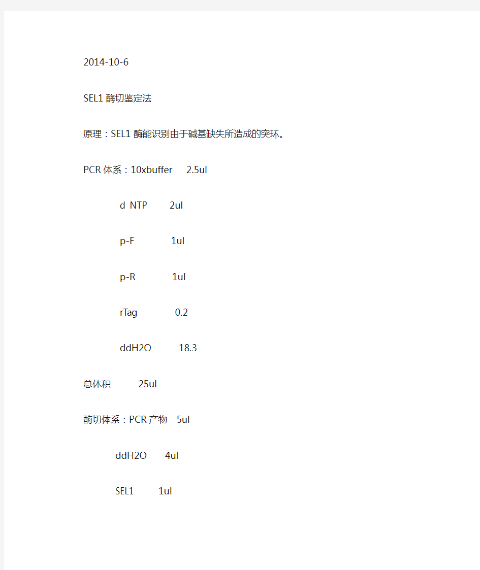 13.CRISPER-cas9突变体鉴定方法