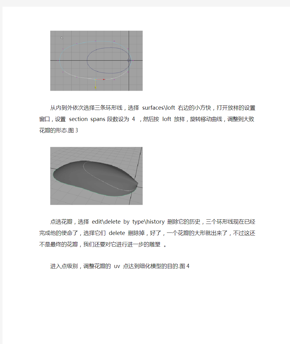 MAYA建模教程：怎么使用maya软件做漂亮花朵的建模