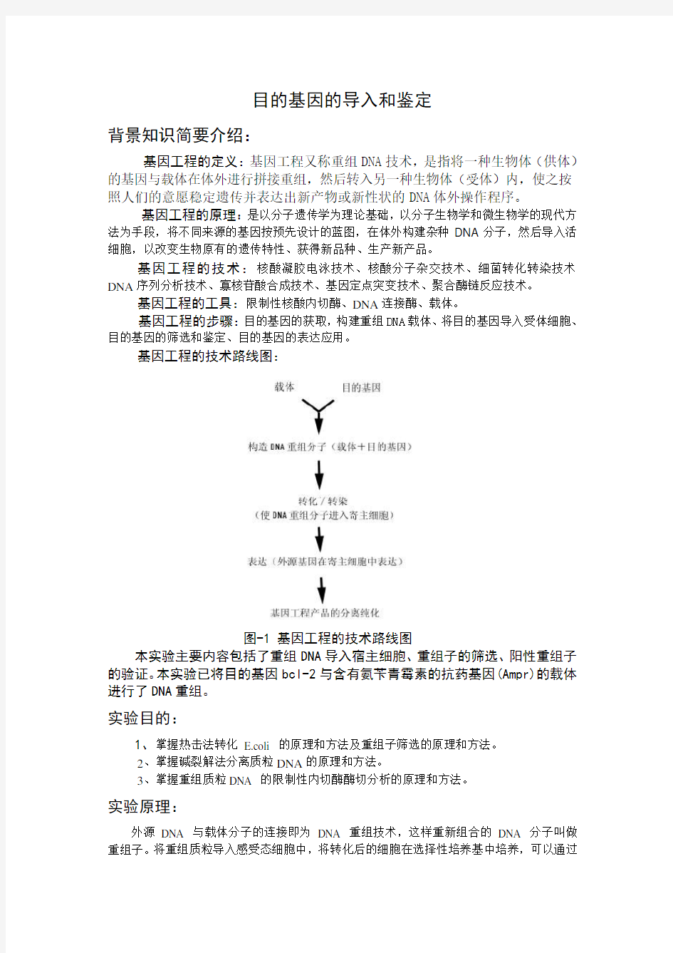 目的基因的导入和鉴定