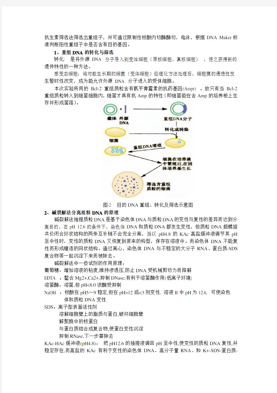 目的基因的导入和鉴定