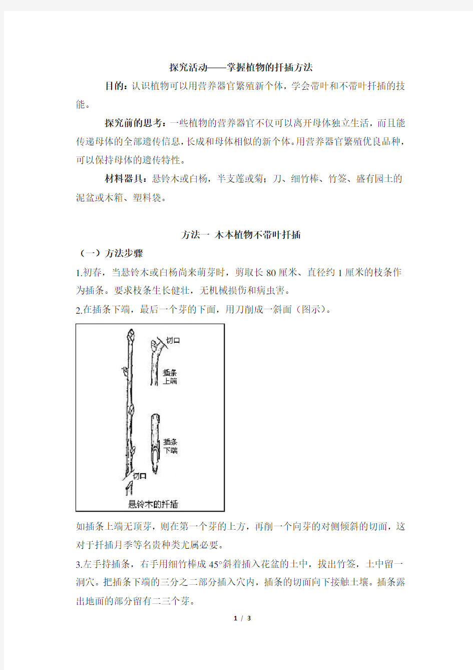 探究活动：掌握植物的扦插方法