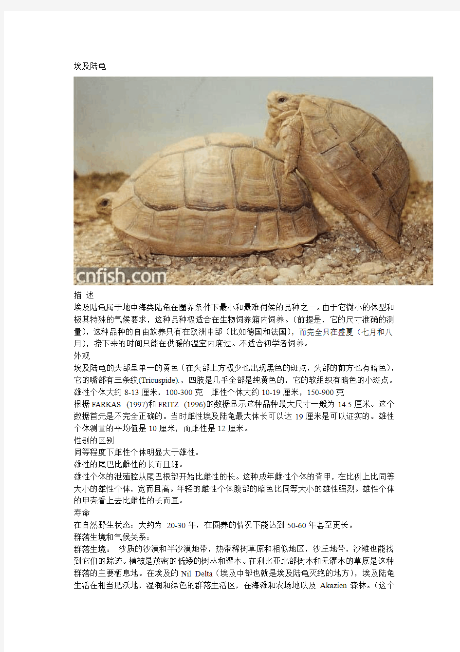 陆龟的种类和习性