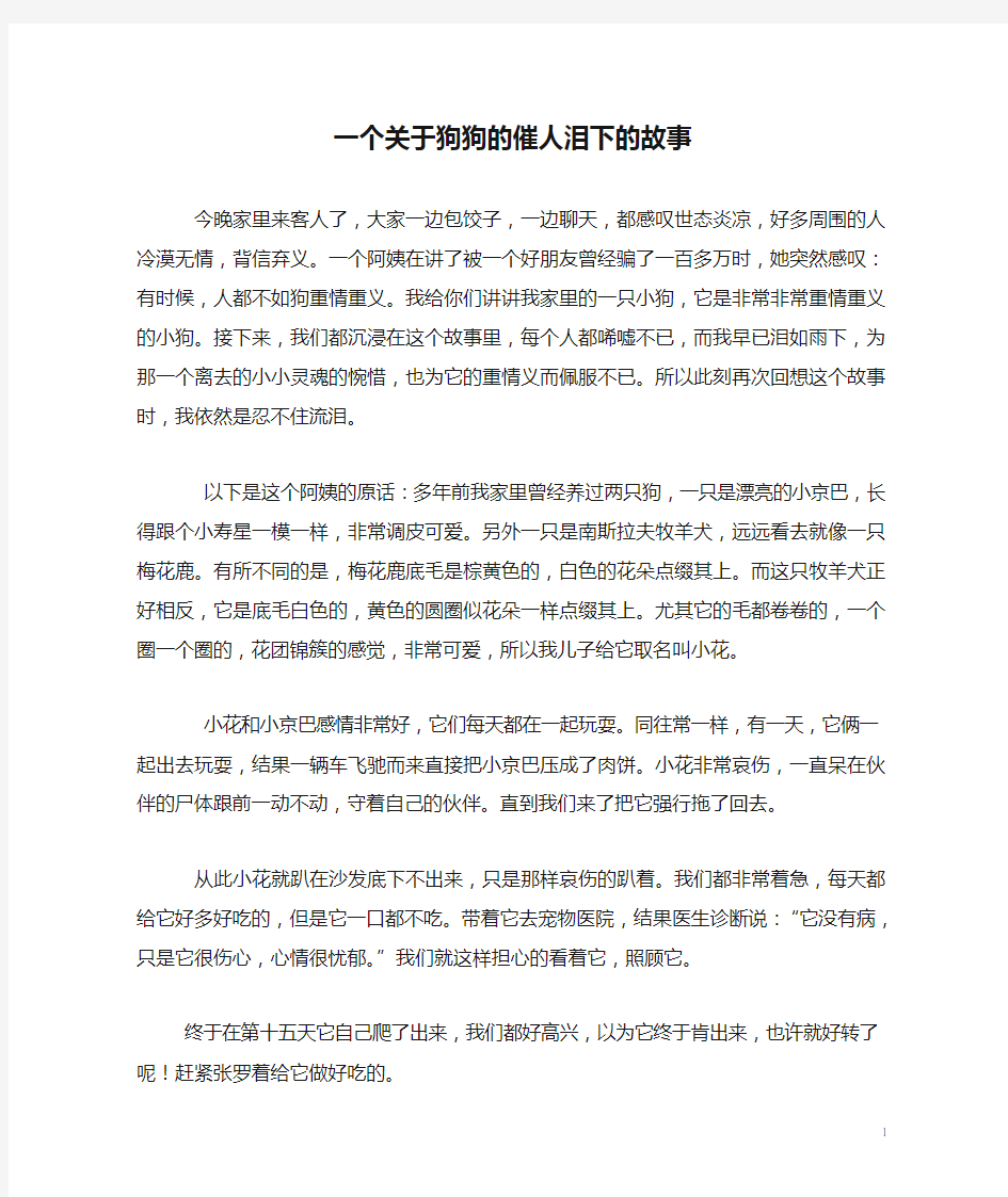 一个关于狗狗的催人泪下的故事