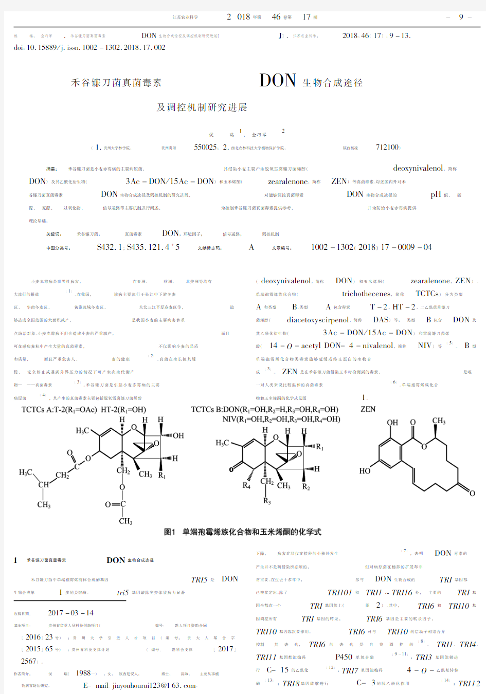 禾谷镰刀菌真菌毒素DON生物合成途径及调控机制研究进展