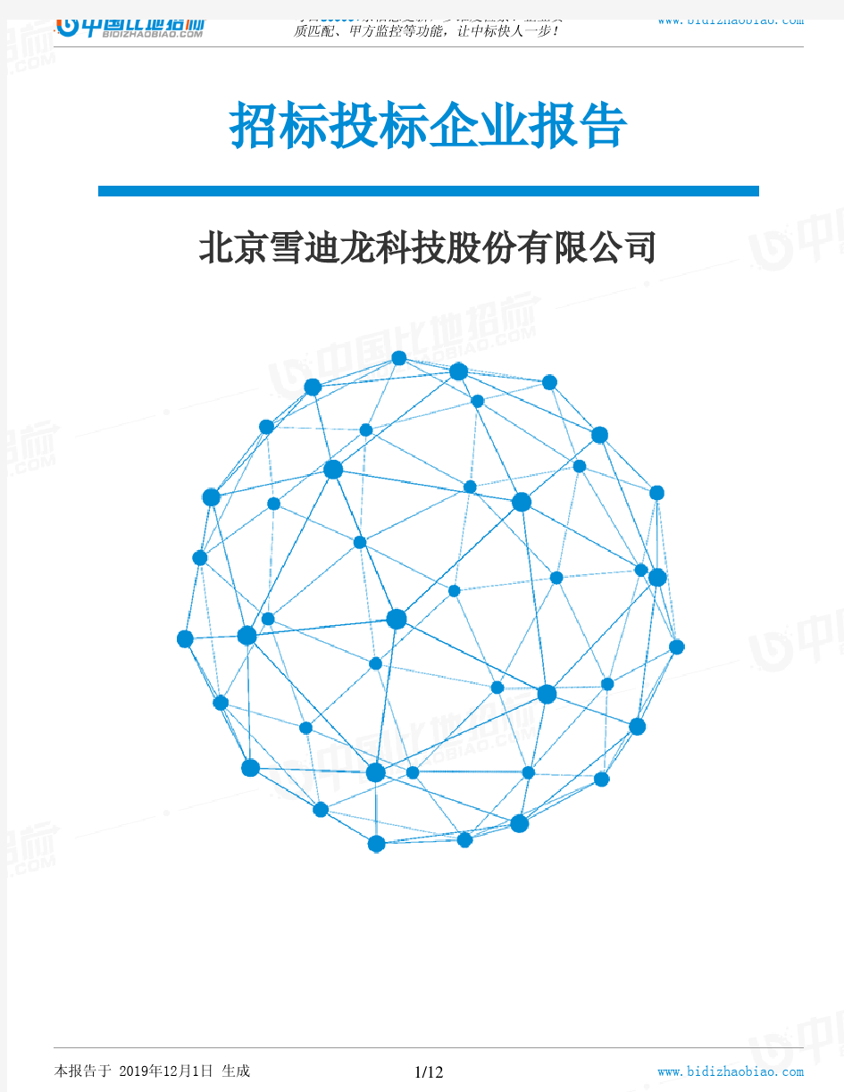 北京雪迪龙科技股份有限公司-招投标数据分析报告