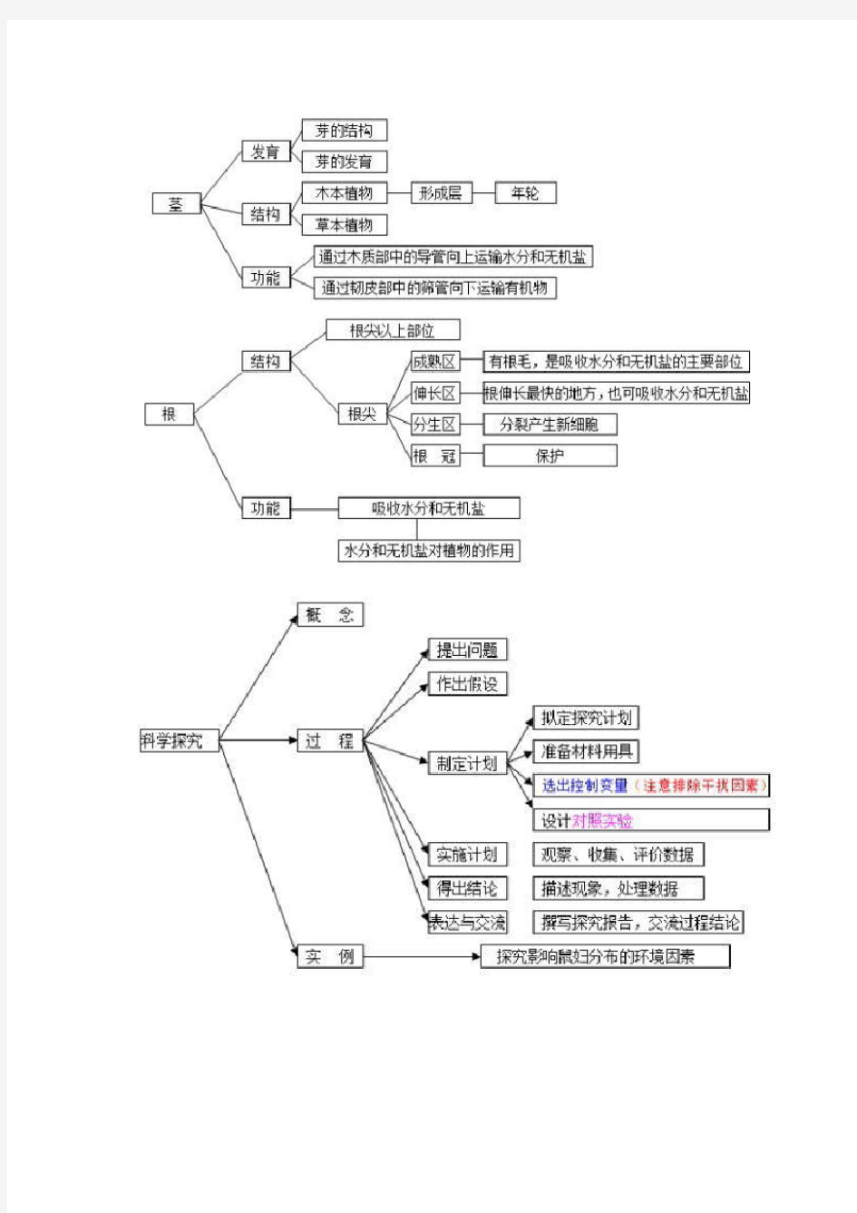 中考生物知识点总结(完整版)思维导图