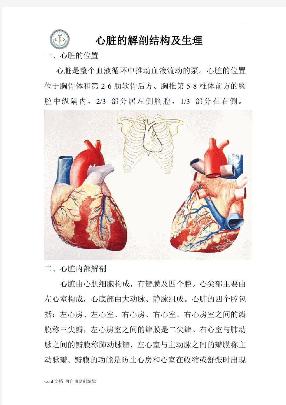 心脏的解剖结构及生理(含彩图)