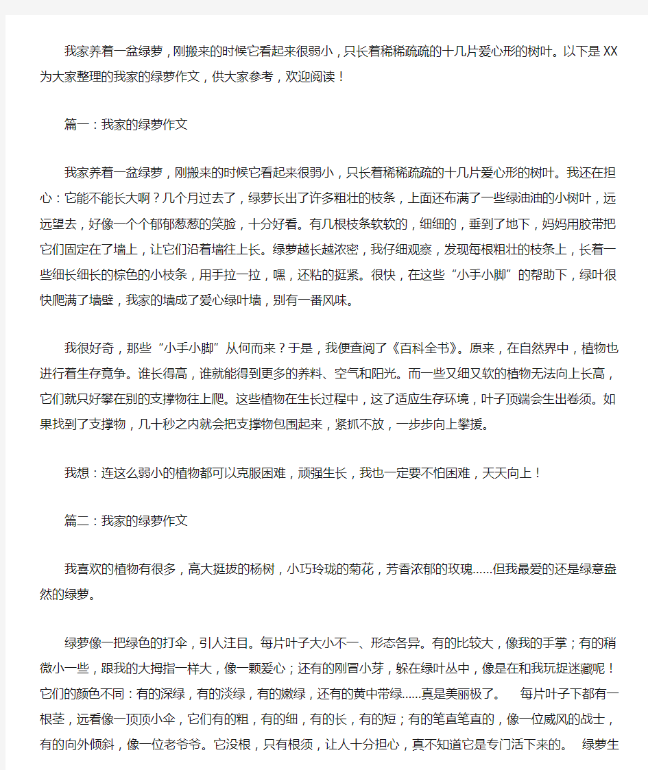 我家的绿萝作文400字