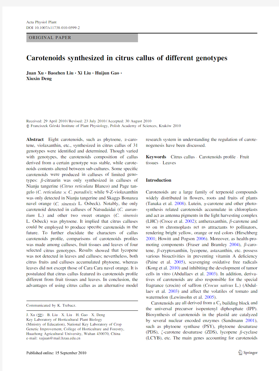Carotenoids synthesized in citrus callus of different genotypes