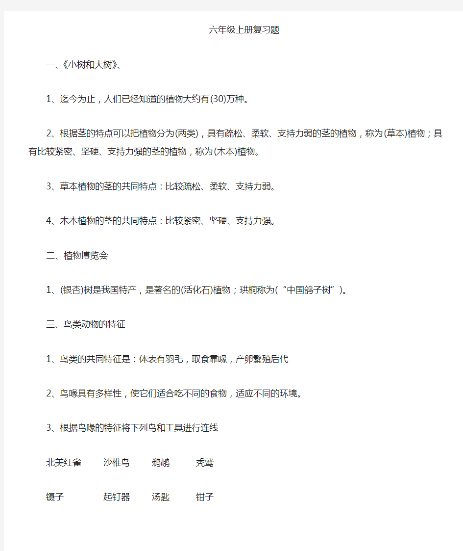 六年级上册总复习(科学) 