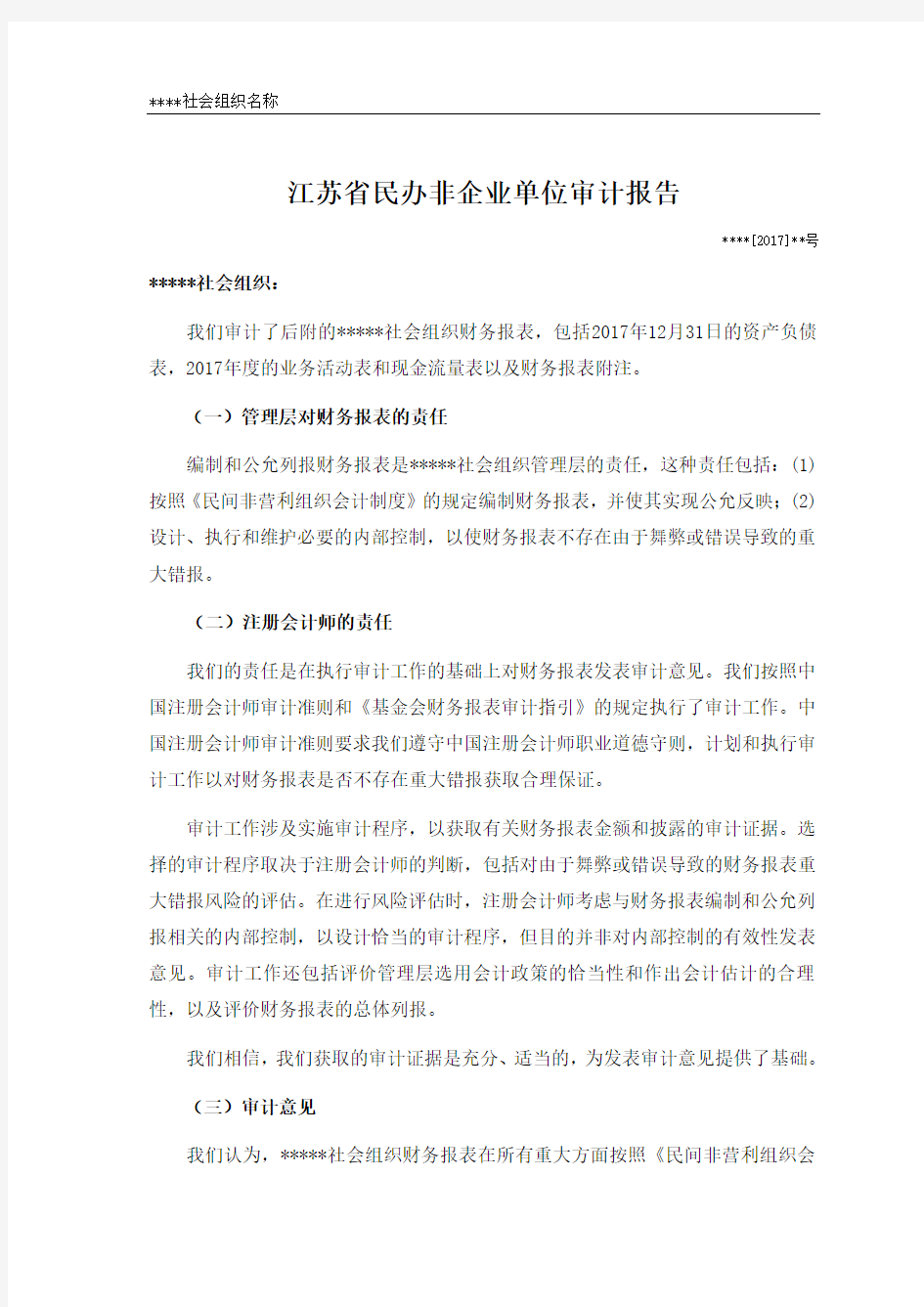 江苏民办非企业单位审计报告