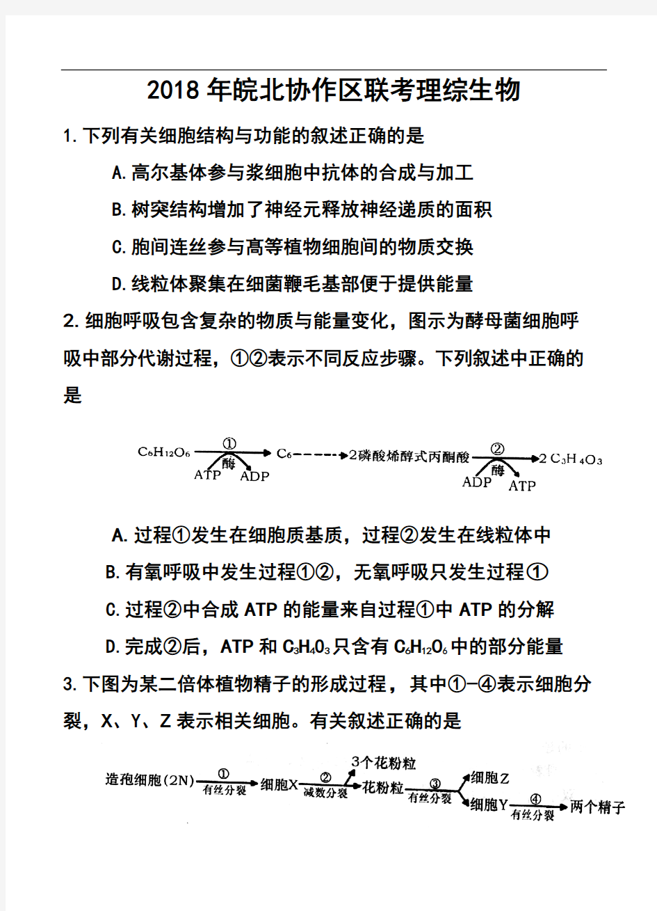 2018届安徽省皖北协作区高三3月联考生物试题及答案  精品推荐