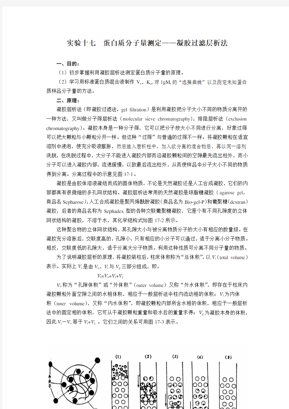 实验十七  蛋白质分子量测定