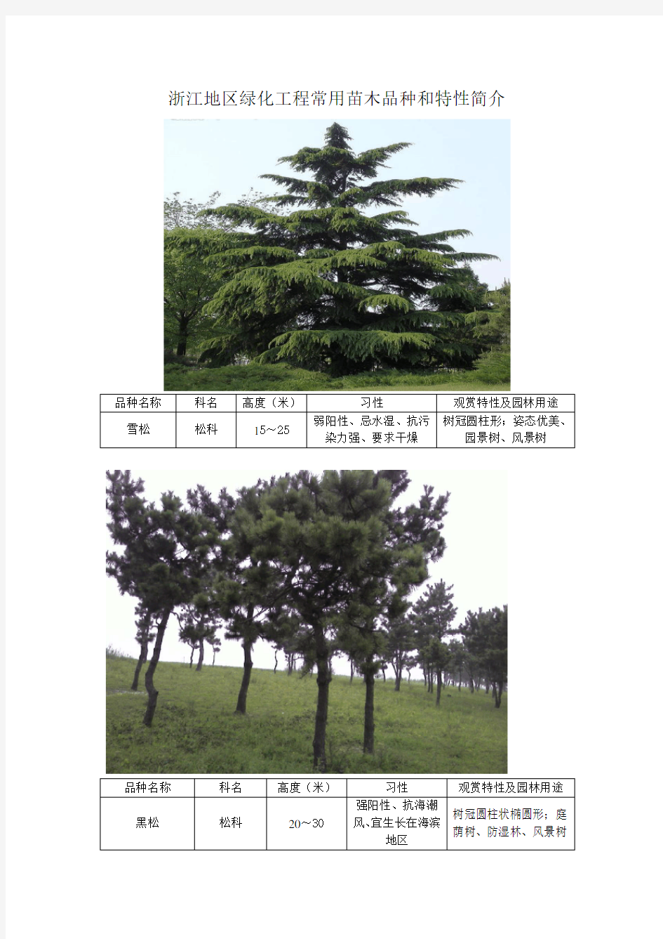 浙江地区绿化工程常用苗木品种和特性简介