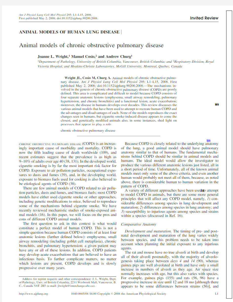 animal models of chronic obstructive pulmonary disease