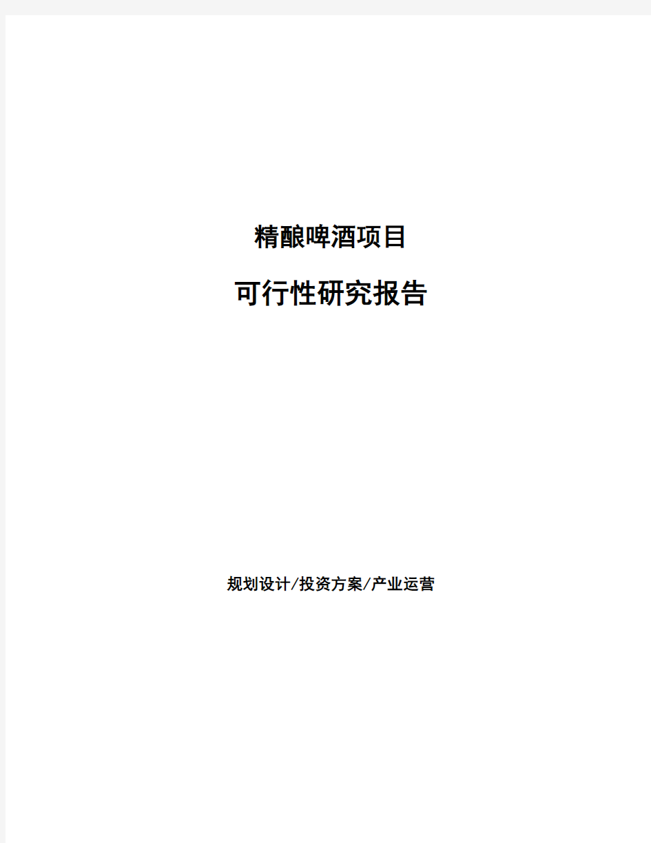 精酿啤酒项目可行性研究报告