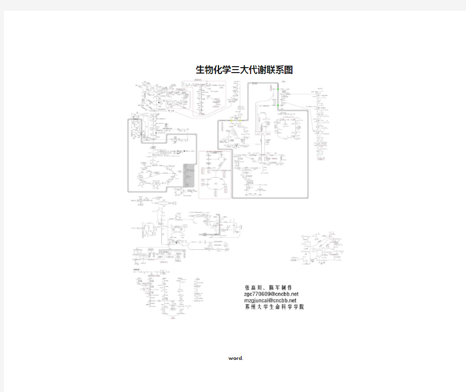 生物化学中三大物质代谢联系图-精选.