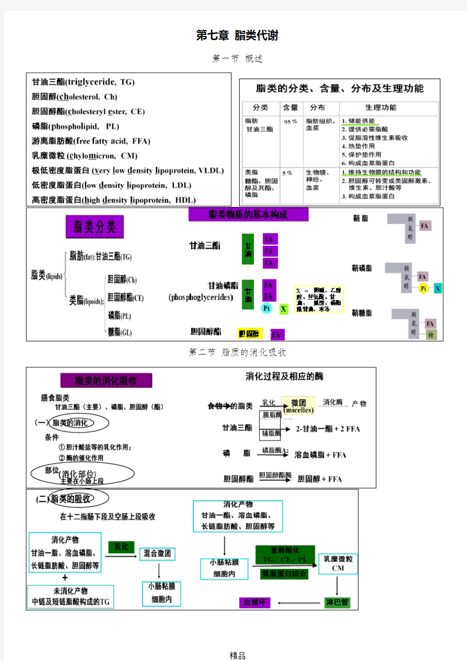 生物化学与分子生物学—脂类代谢