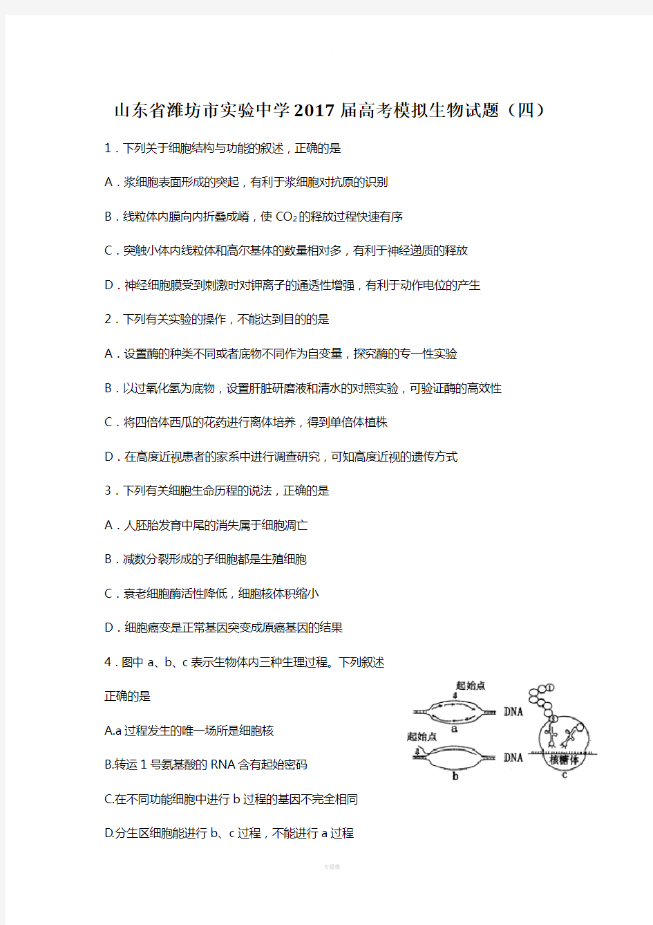 山东省潍坊市实验中学2017届高考模拟生物试题(四)