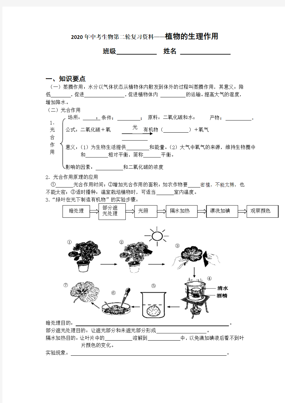 2020年中考生物第二轮复习资料——植物的生理作用