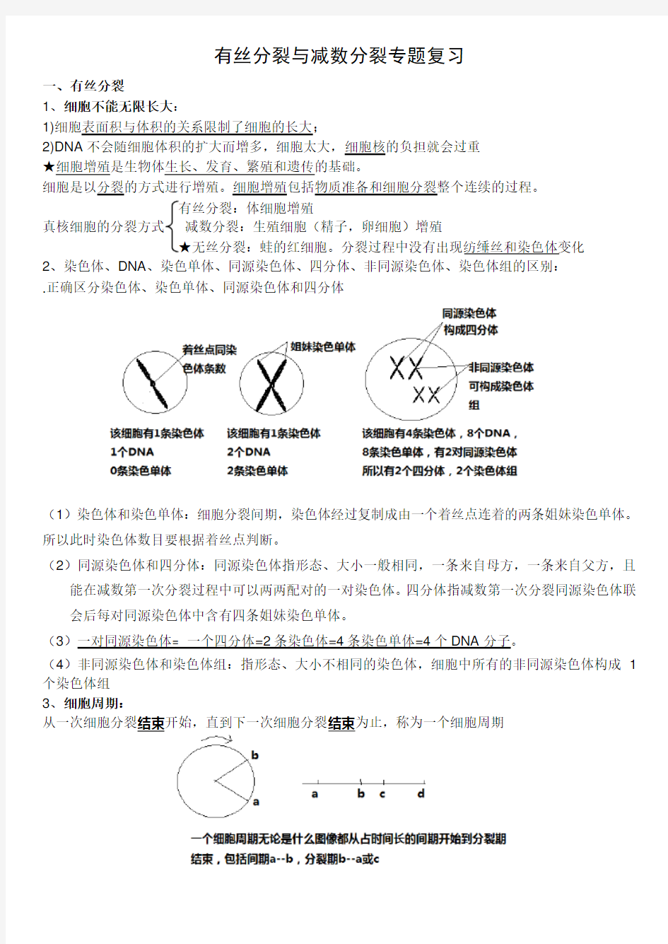 有丝分裂知识点讲解学习