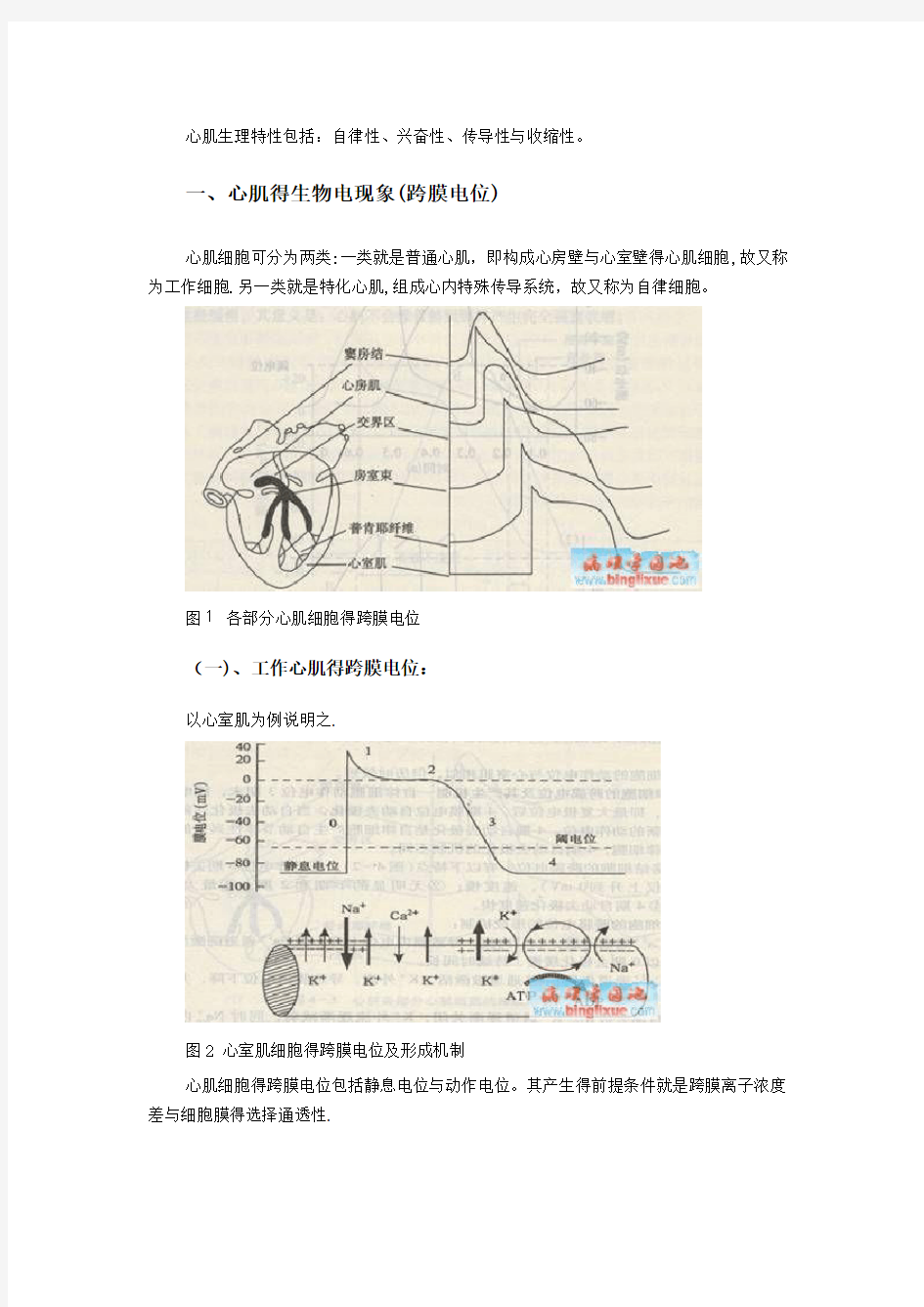 心肌生理特性包括