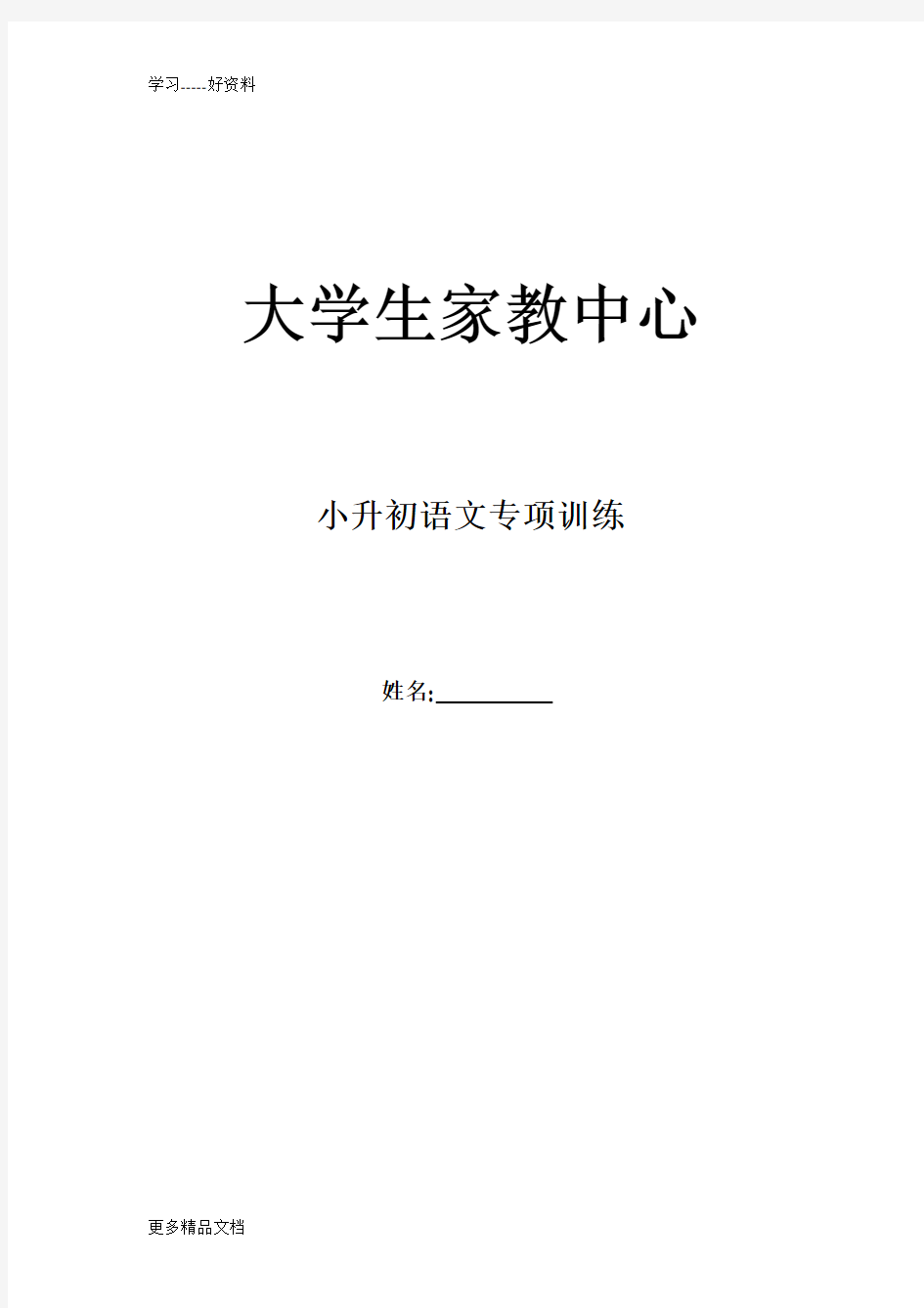 小升初语文专项训练完整版汇编